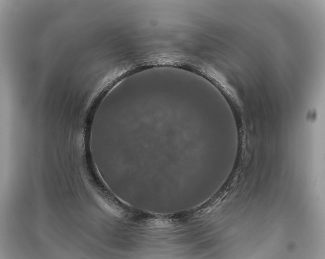 X0000091060250200708131136