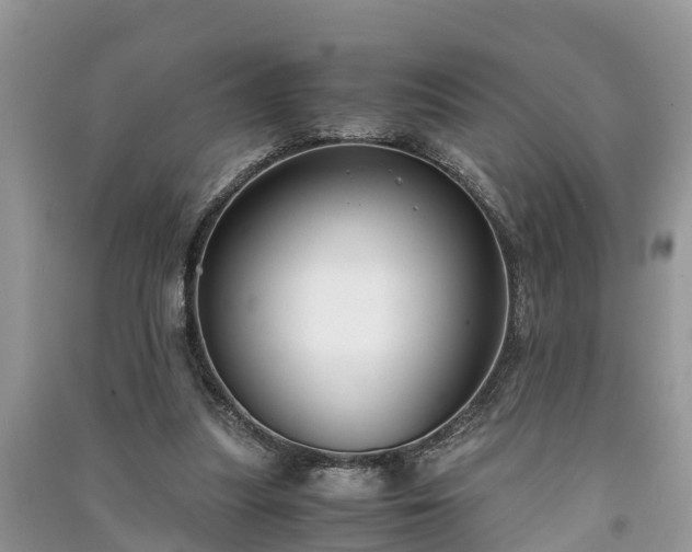 X0000091060251200708131136