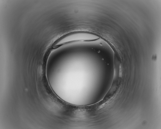 X0000091060252200708131136