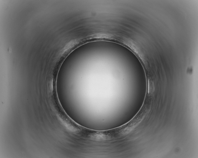 X0000091060253200708131136