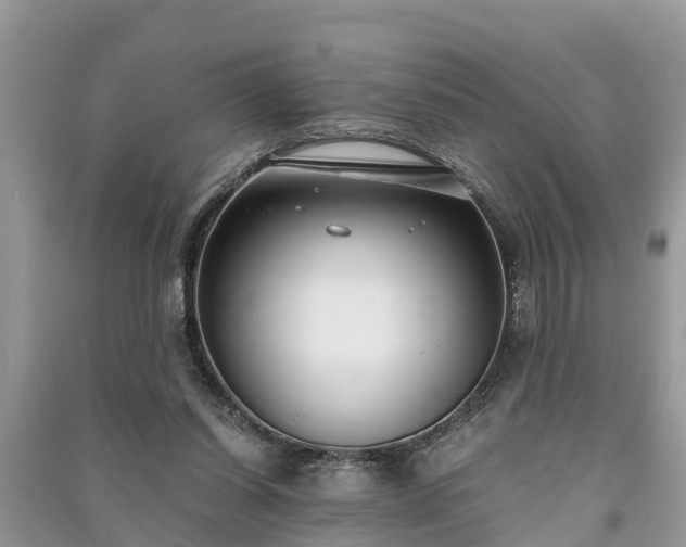 X0000091060254200708131136