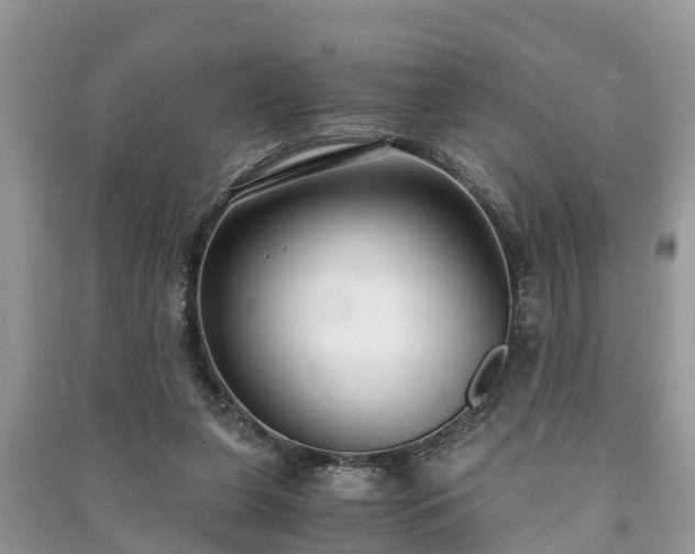 X0000091060255200708131136