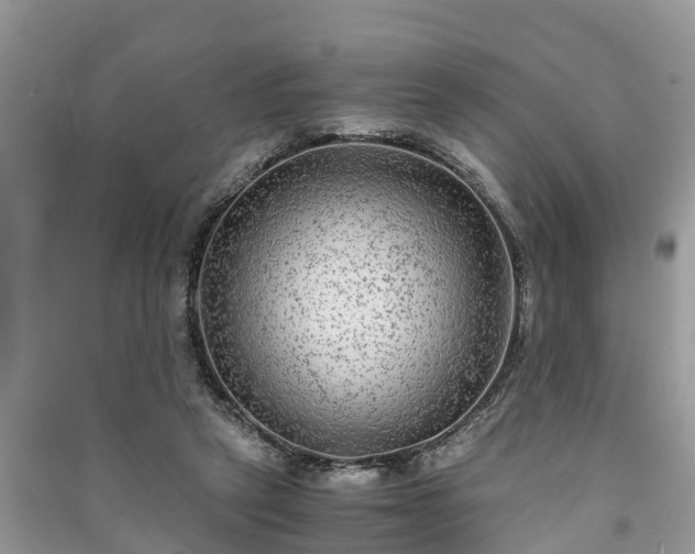 X0000091060257200708131136