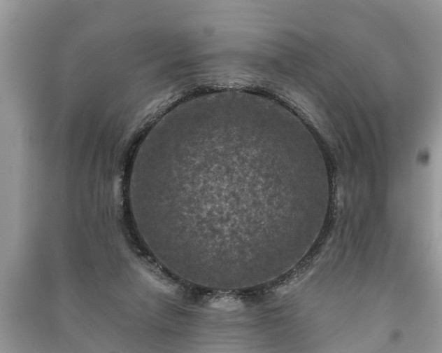 X0000091060258200708131136