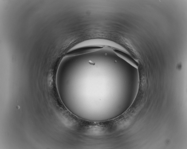 X0000091060259200708131136