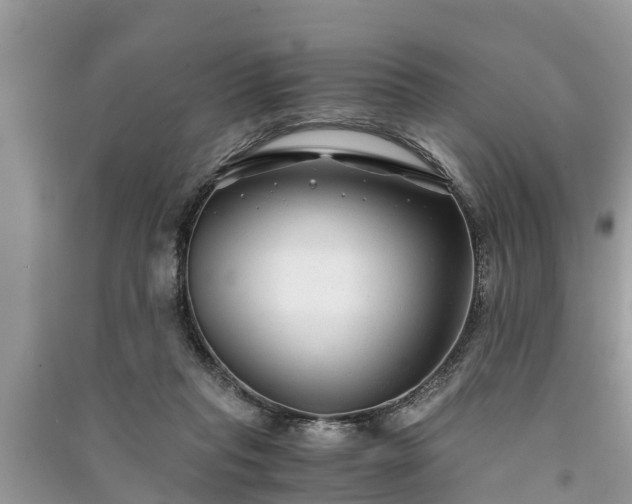 X0000091060261200708131136