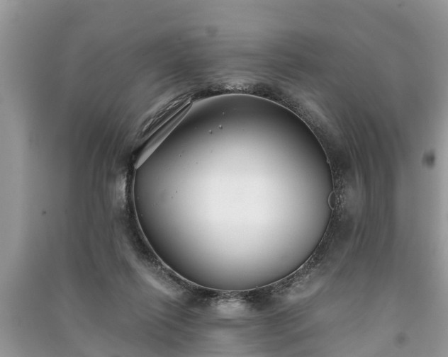 X0000091060262200708131136