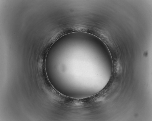 X0000091060263200708131136