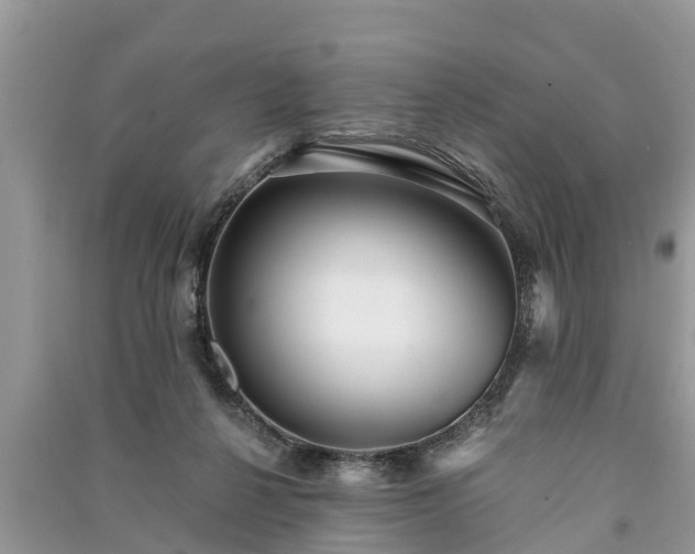 X0000091060264200708131136