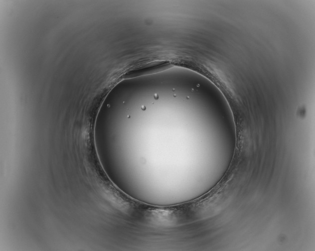 X0000091060265200708131136