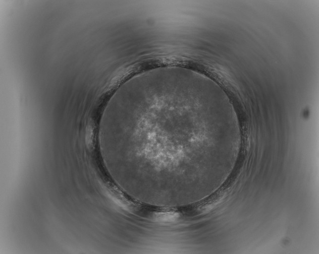 X0000091060266200708131136