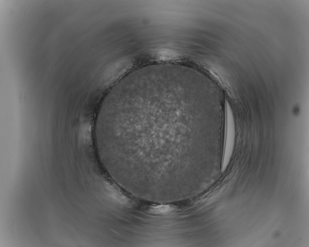 X0000091060269200708131136