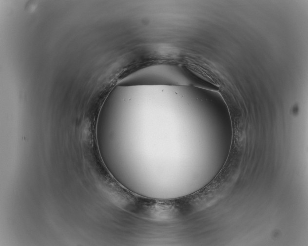 X0000091060270200708131136