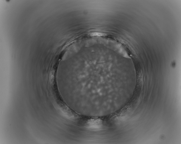 X0000091060271200708131136