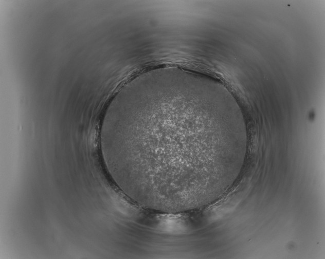 X0000091060273200708131136