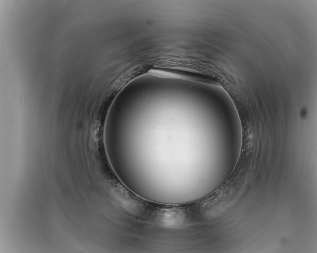 X0000091060275200708131137
