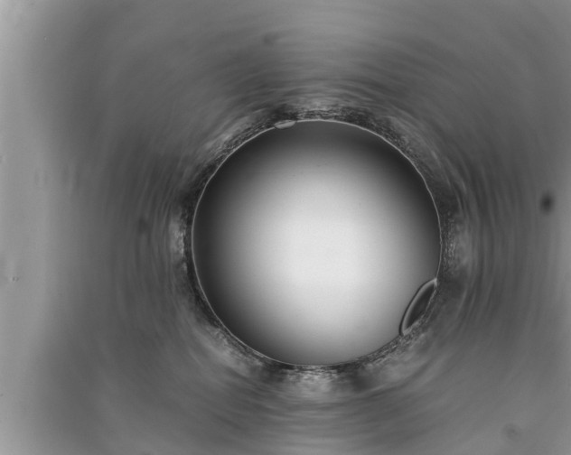 X0000091060282200708131137
