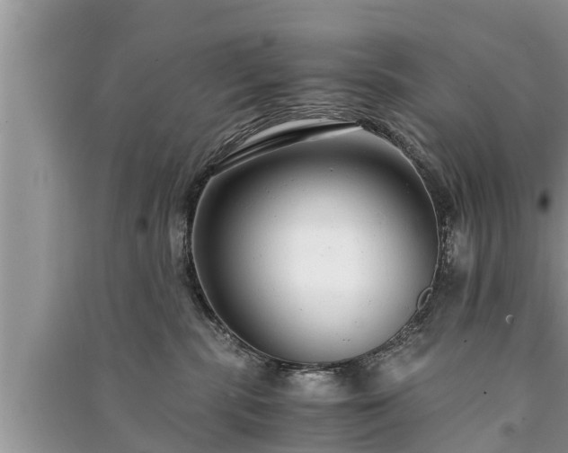 X0000091060283200708131137