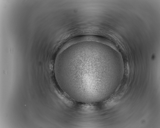 X0000091060284200708131137