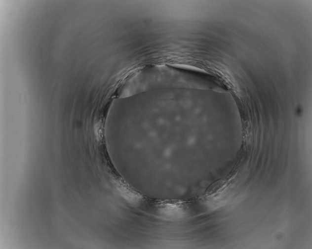 X0000091060285200708131137
