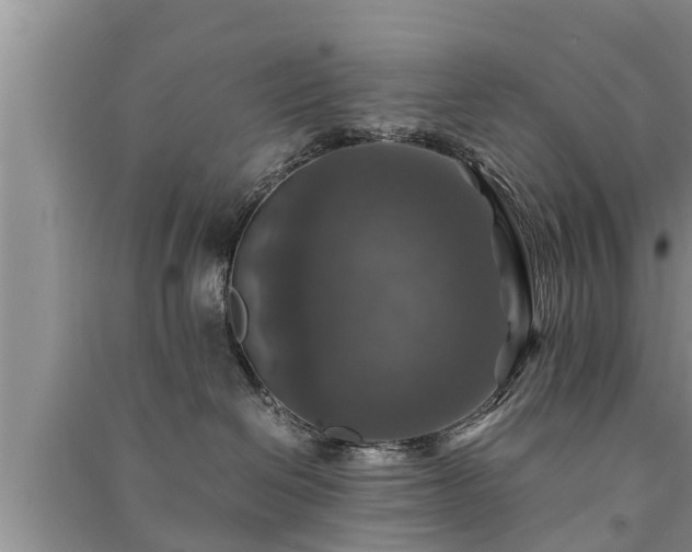 X0000091060286200708131137