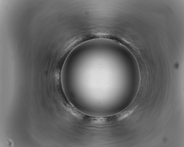 X0000091060288200708131137