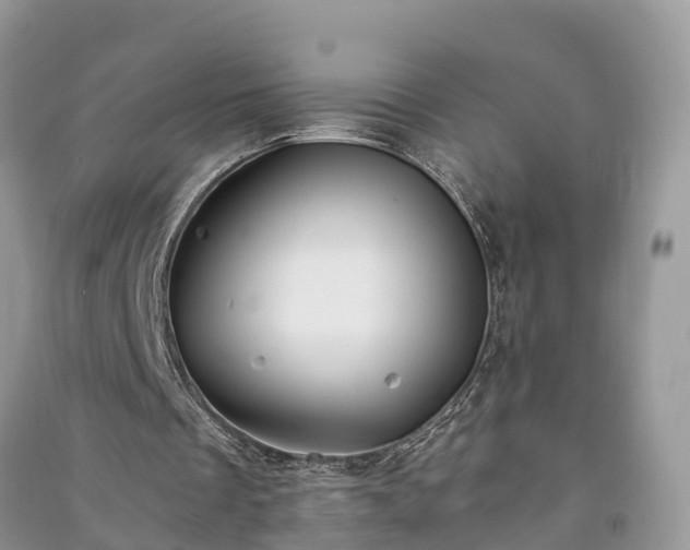 X0000091060289200708131136