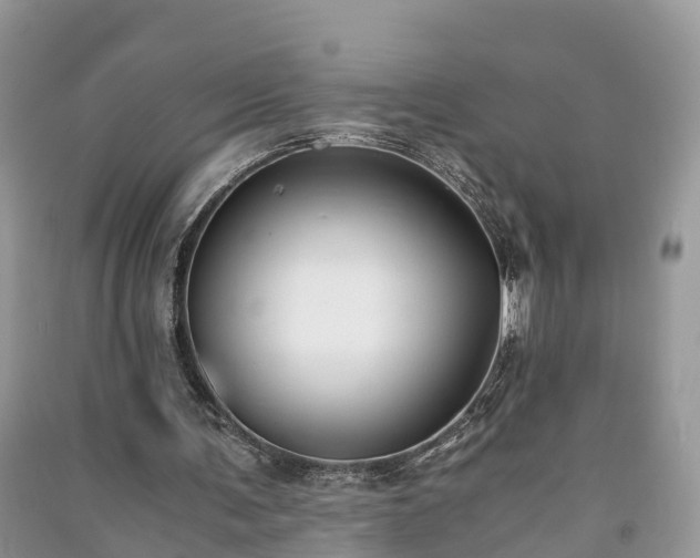 X0000091060291200708131136
