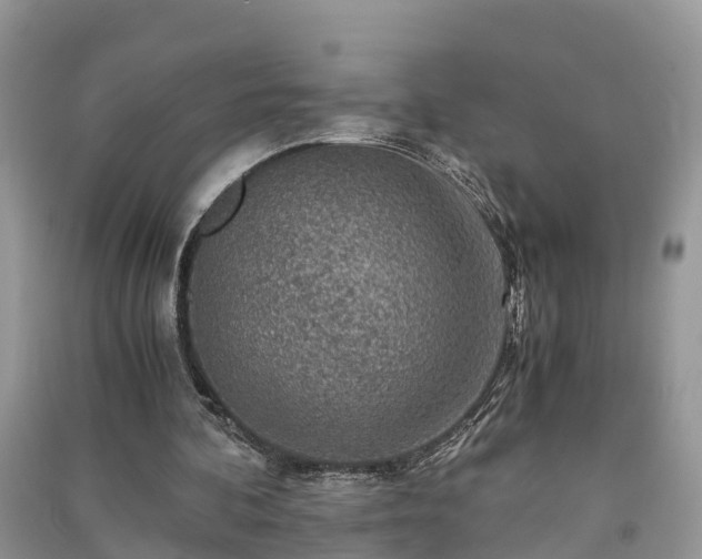 X0000091060292200708131136
