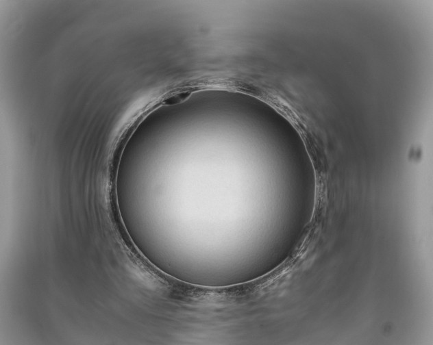 X0000091060293200708131136