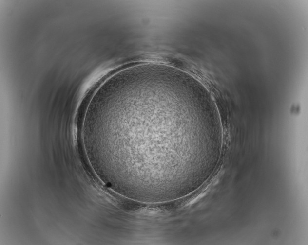 X0000091060294200708131136