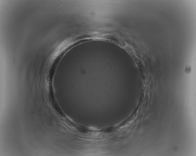 X0000091060295200708131136