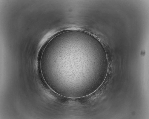 X0000091060296200708131136