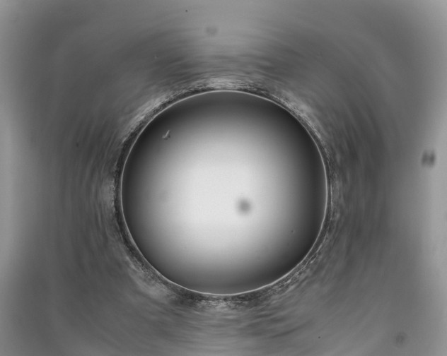 X0000091060297200708131136