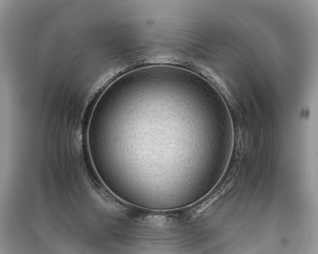 X0000091060298200708131136
