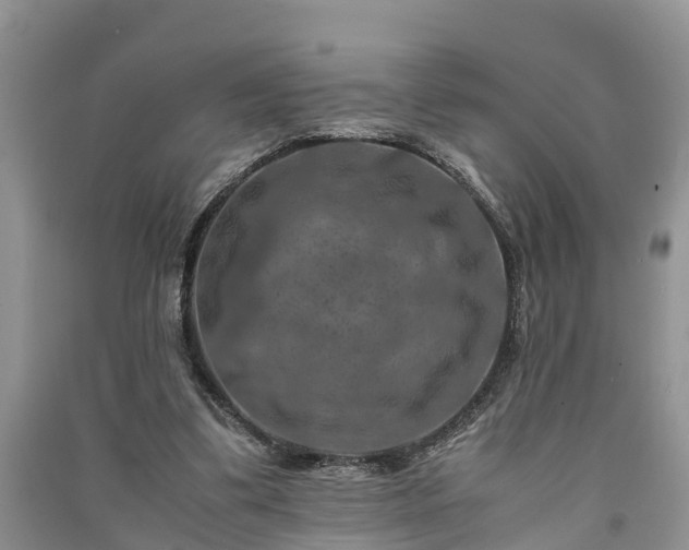 X0000091060299200708131136