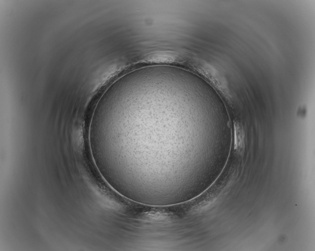 X0000091060300200708131136