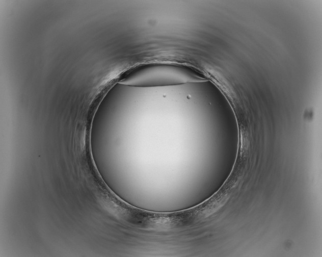 X0000091060301200708131136