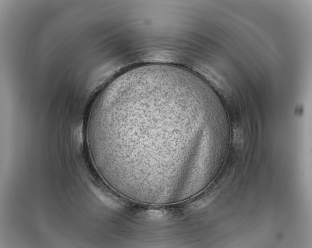 X0000091060302200708131136