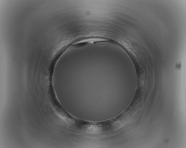 X0000091060303200708131136