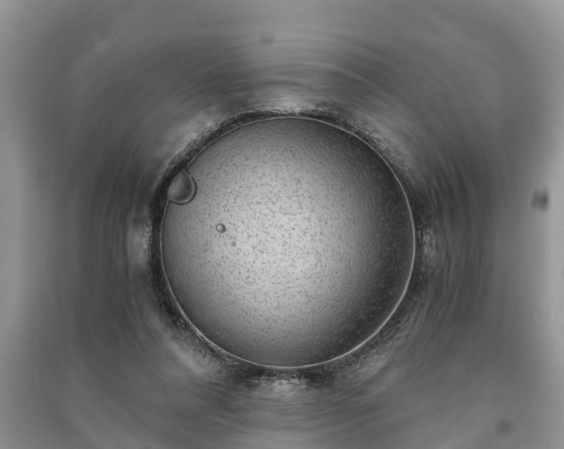 X0000091060304200708131136