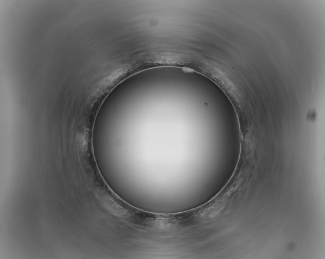 X0000091060305200708131136