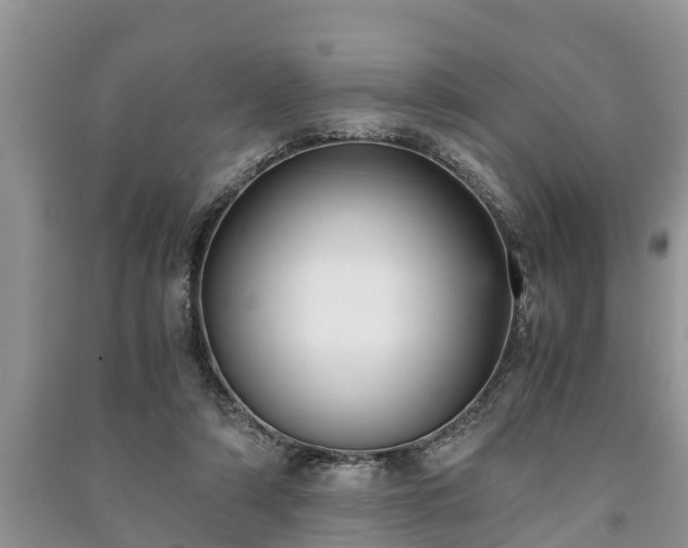 X0000091060306200708131136