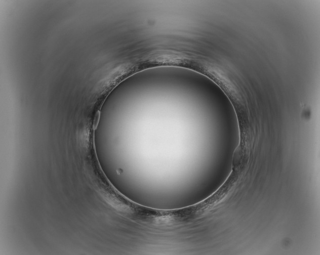 X0000091060309200708131136