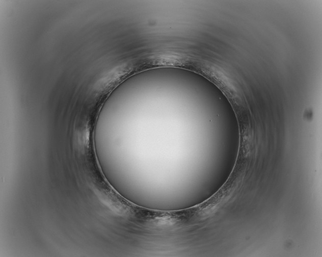 X0000091060310200708131136