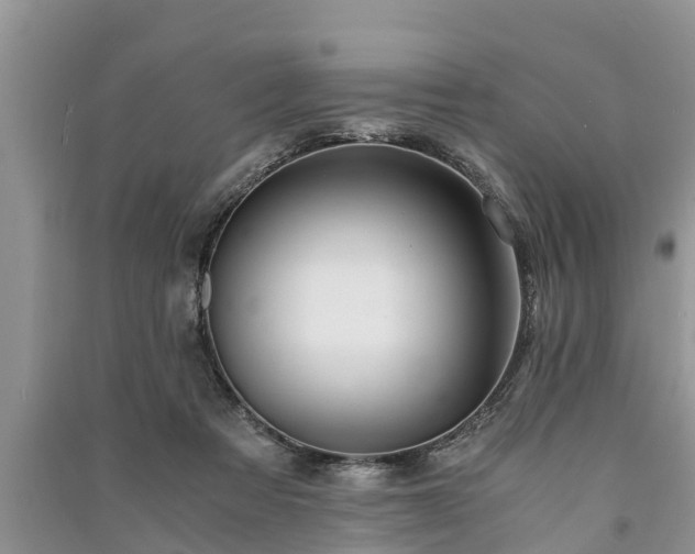 X0000091060313200708131136