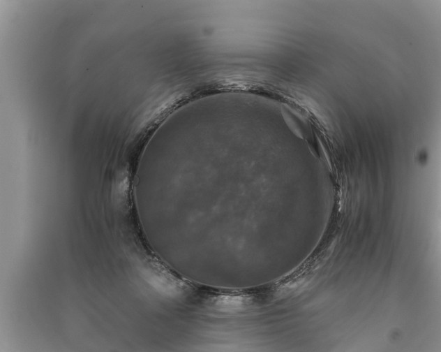 X0000091060314200708131136