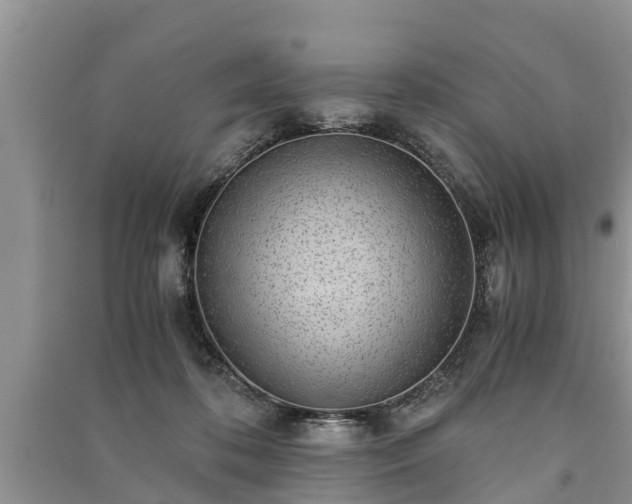 X0000091060316200708131136