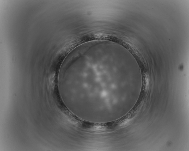 X0000091060319200708131136