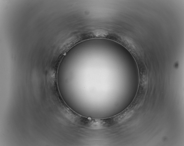 X0000091060321200708131136